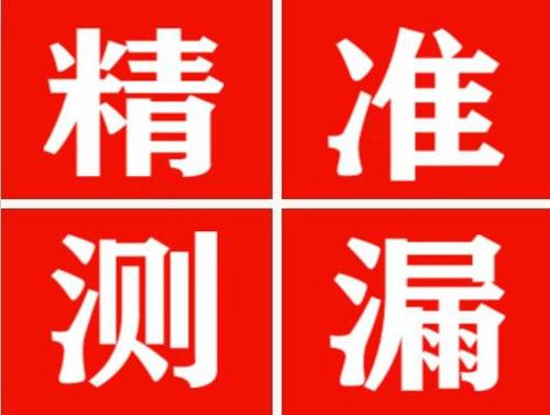 扶绥尚嘉漏水精准查找