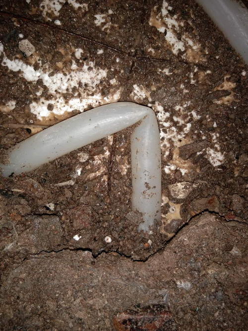 扶绥堵点精准查找